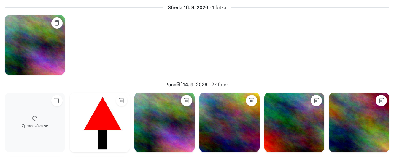 Mřížka_náhledů_se_zpracovávanou_fotkou
